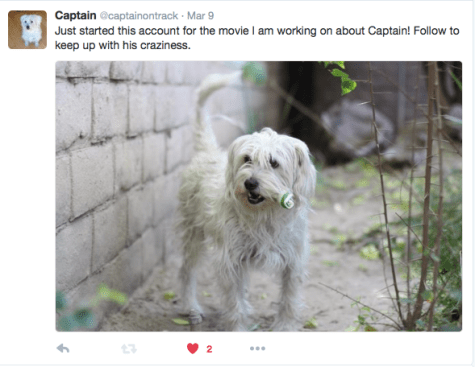 twitter, social media, captain and the greyhounds, first tweet